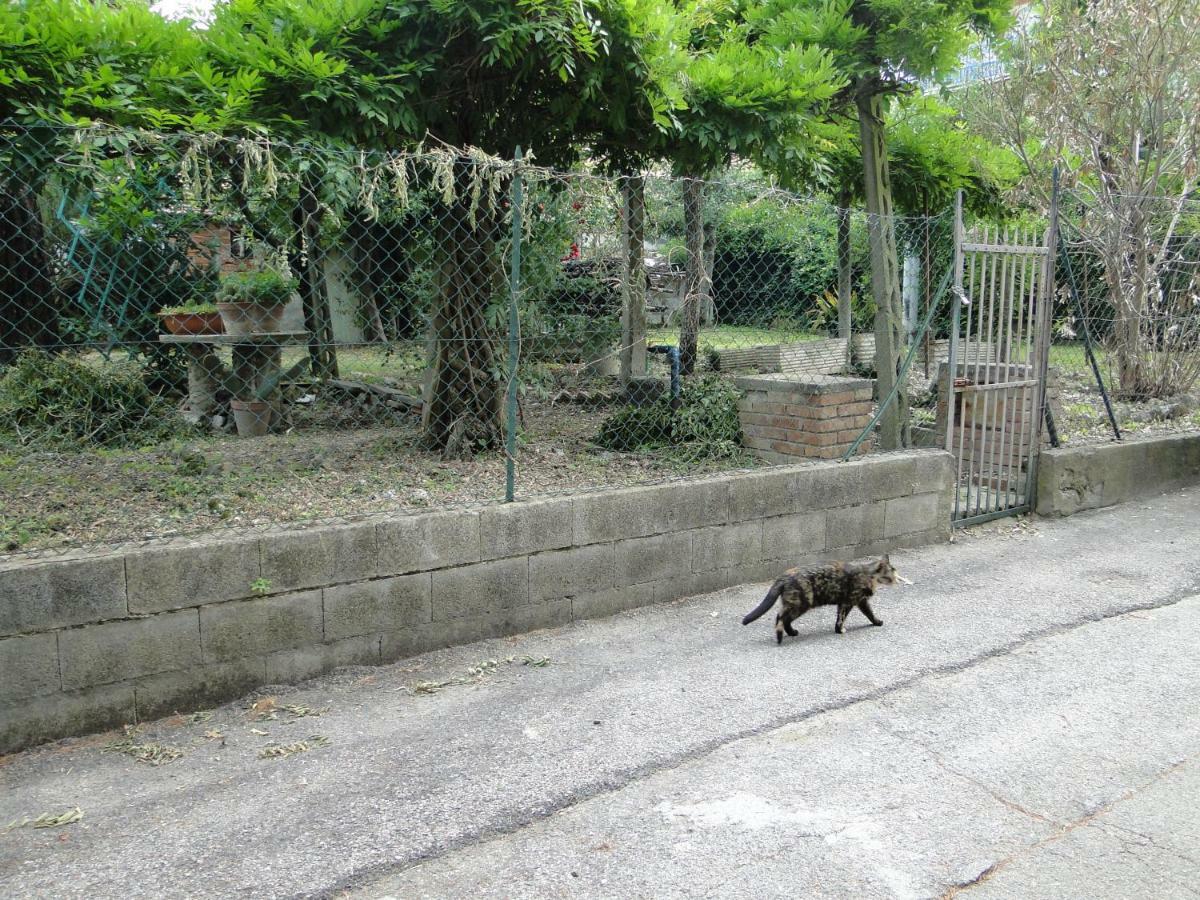 Via Del Toppo, 4 Perugia Eksteriør billede